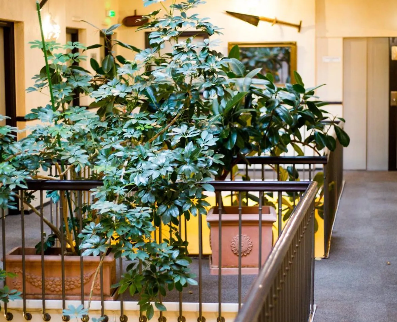 Grand Hotel D'Orleans Toulouse